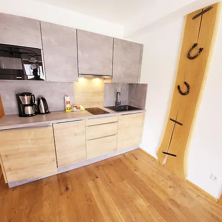 Schickster Mountain Apartment